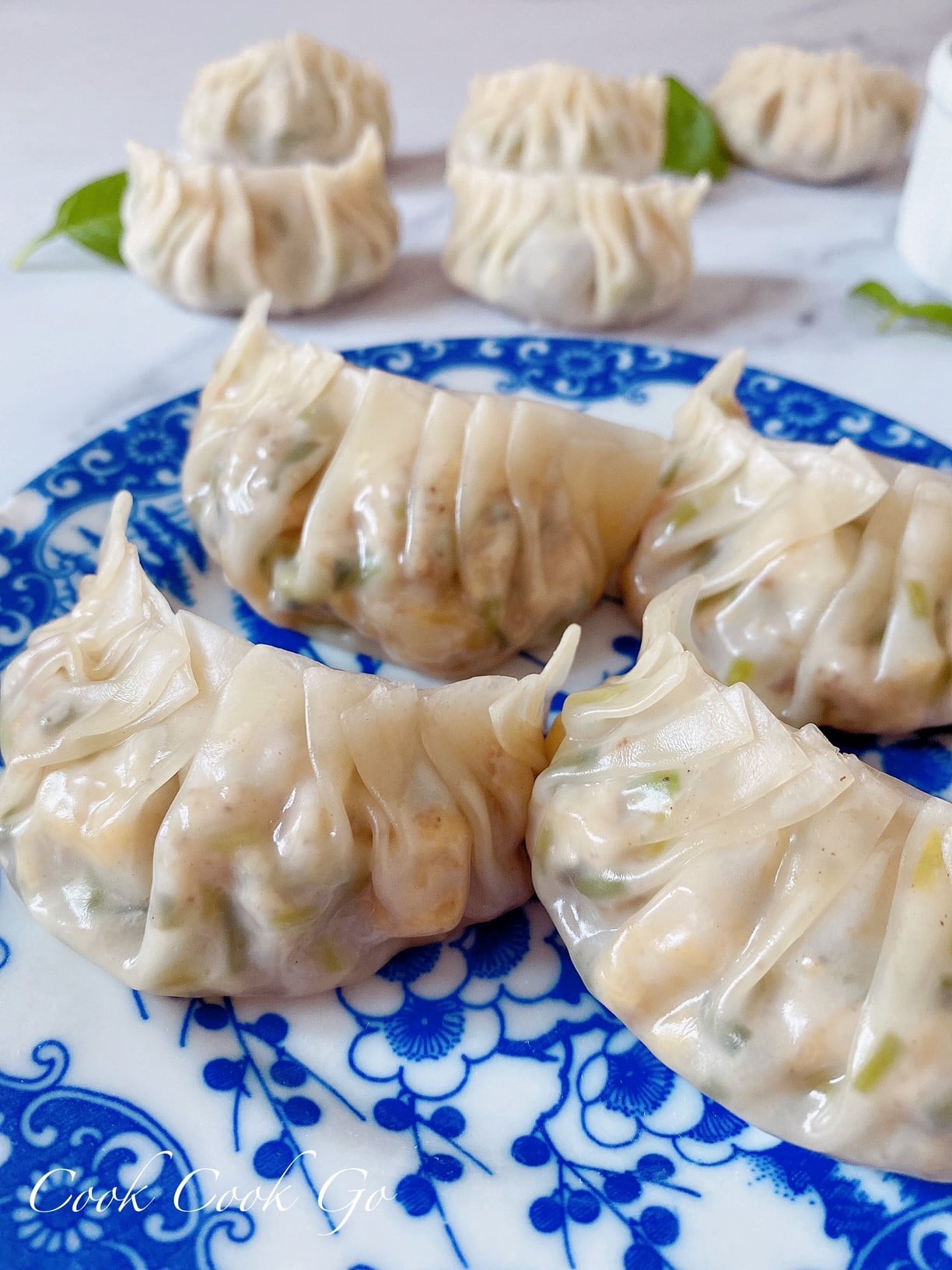 Chinese Shrimp Dumplings