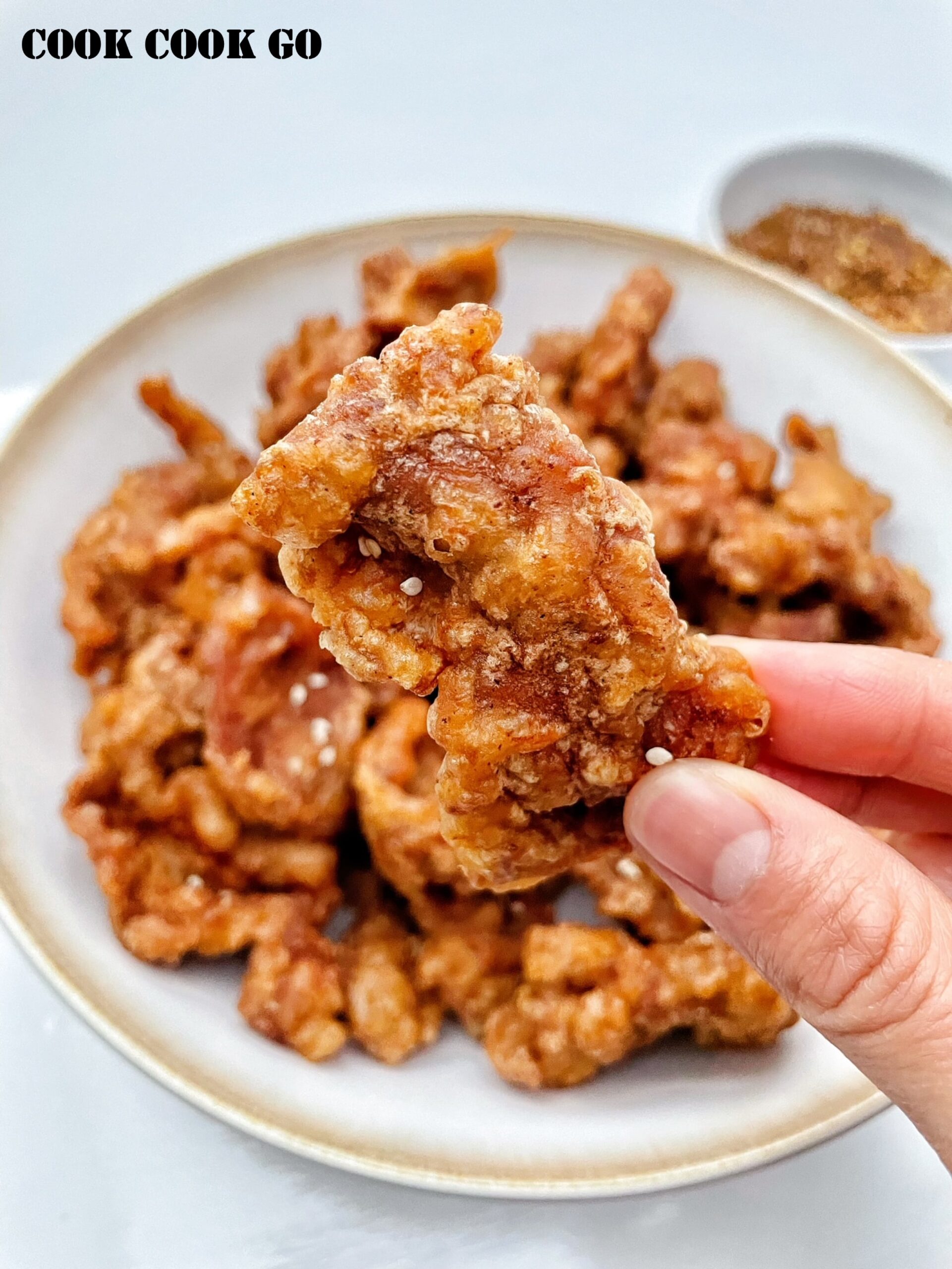 Sichuan Crispy Fried Pork (小酥肉) - COOK COOK GO