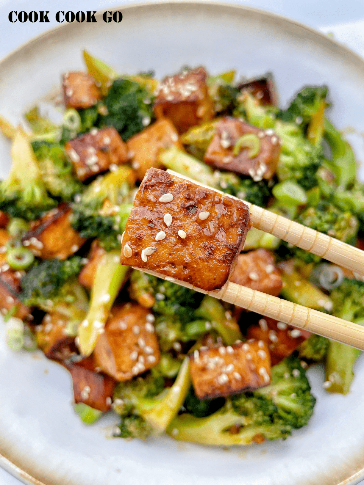 Tofu Broccoli Stir Fry