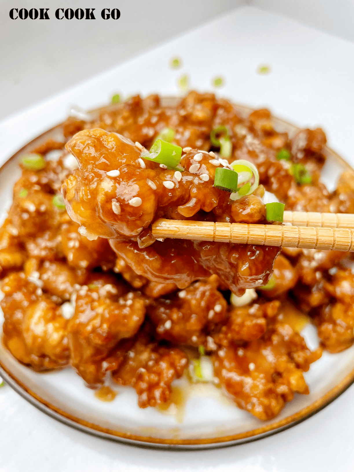 Chinese Crispy Honey Chicken 