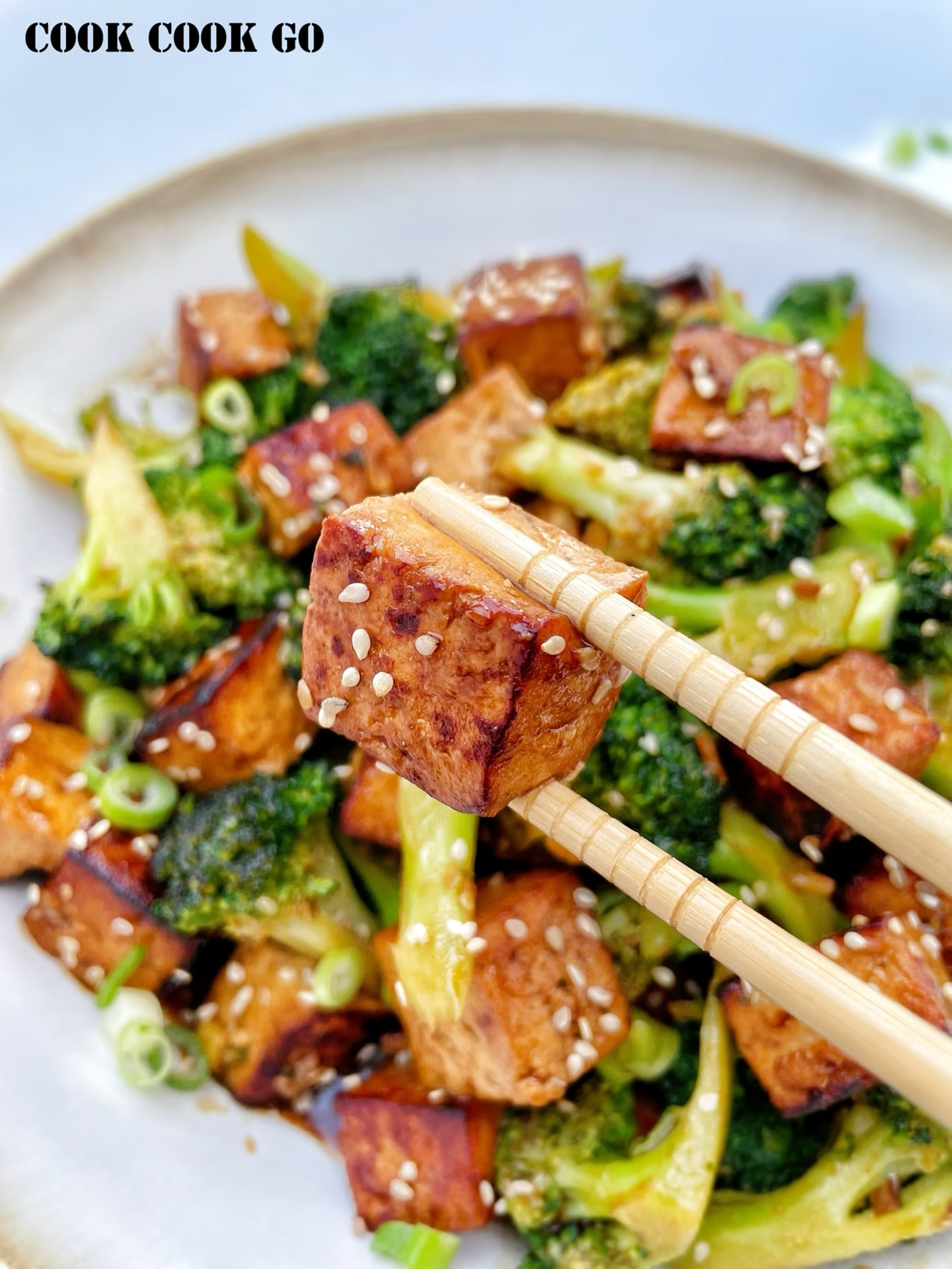 Easy Tofu Broccoli Stir fry