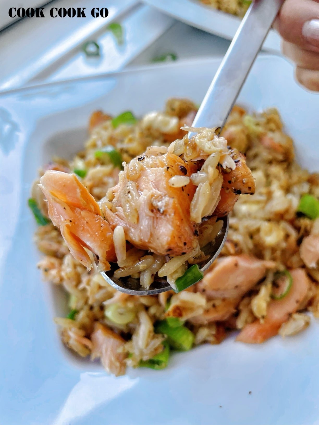 quick and easy fried rice recipe with salmon