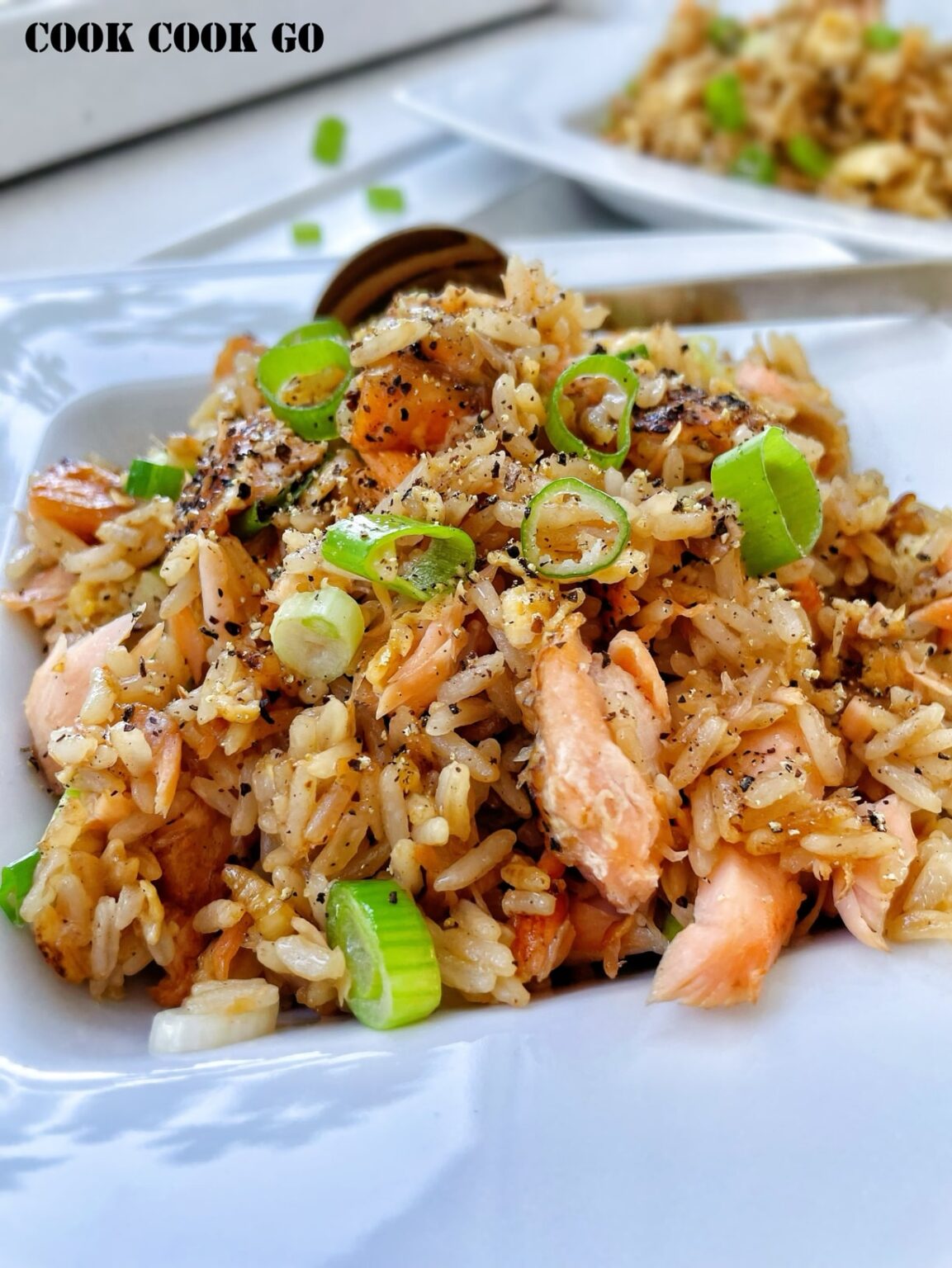 Super Easy Salmon Fried Rice - COOK COOK GO