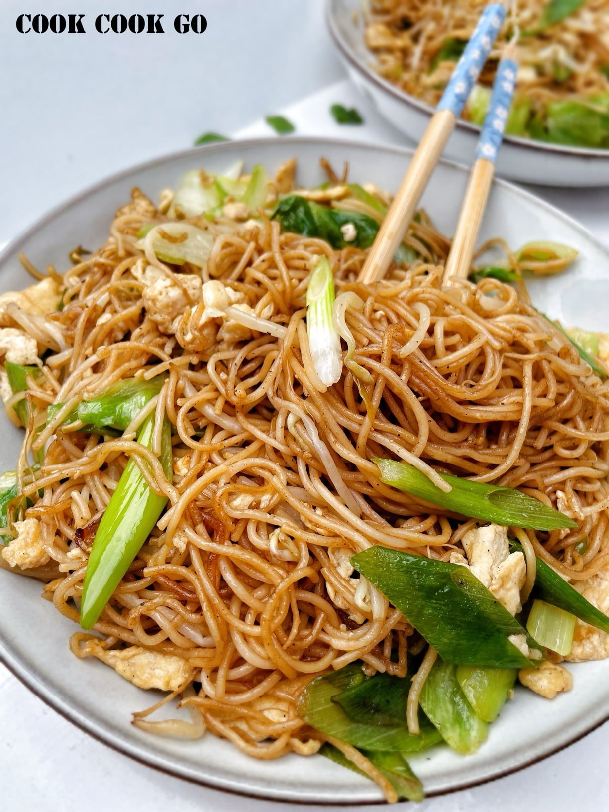 Fried rice noodles