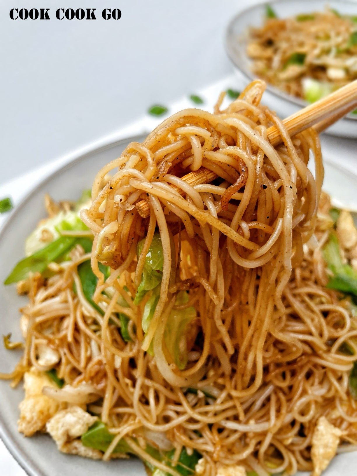 Fried Vermicelli with Eggs and Veggies