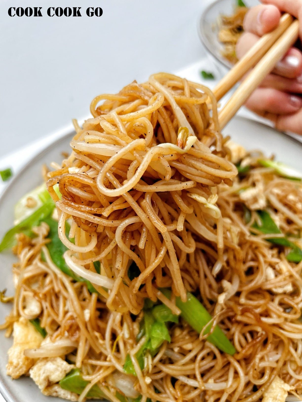 Chinese Fried Rice Noodles with Eggs 