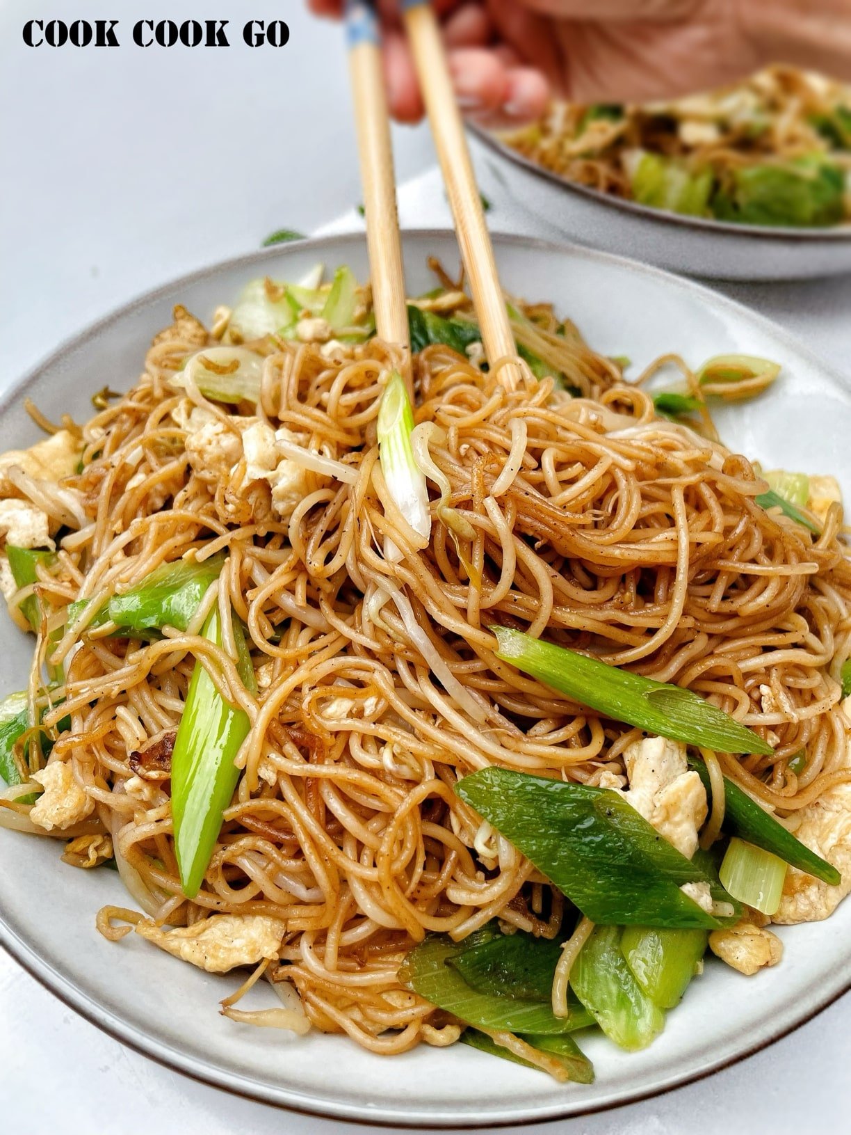 fried vermicelli