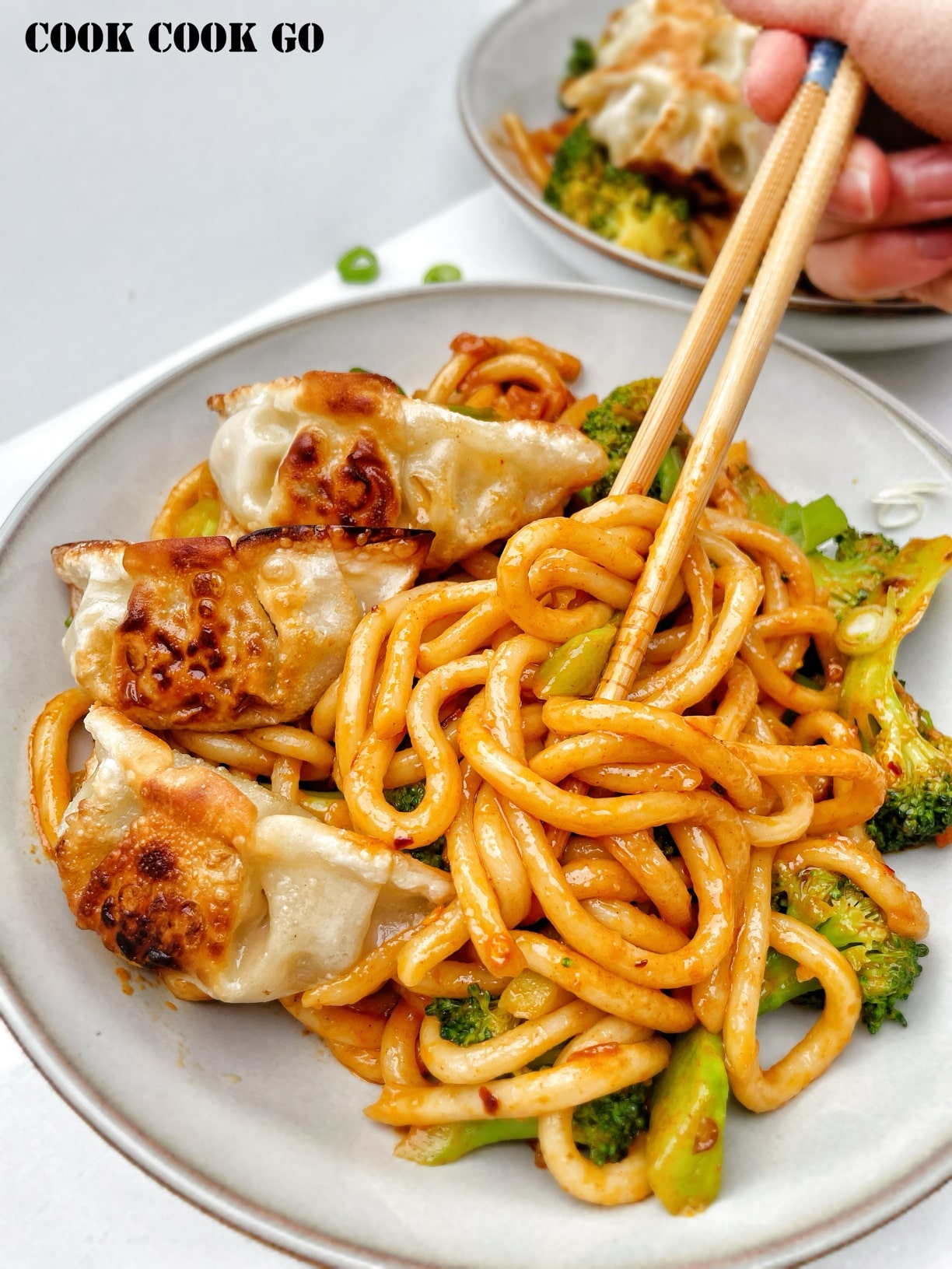 spicy garlic udon with dumplings