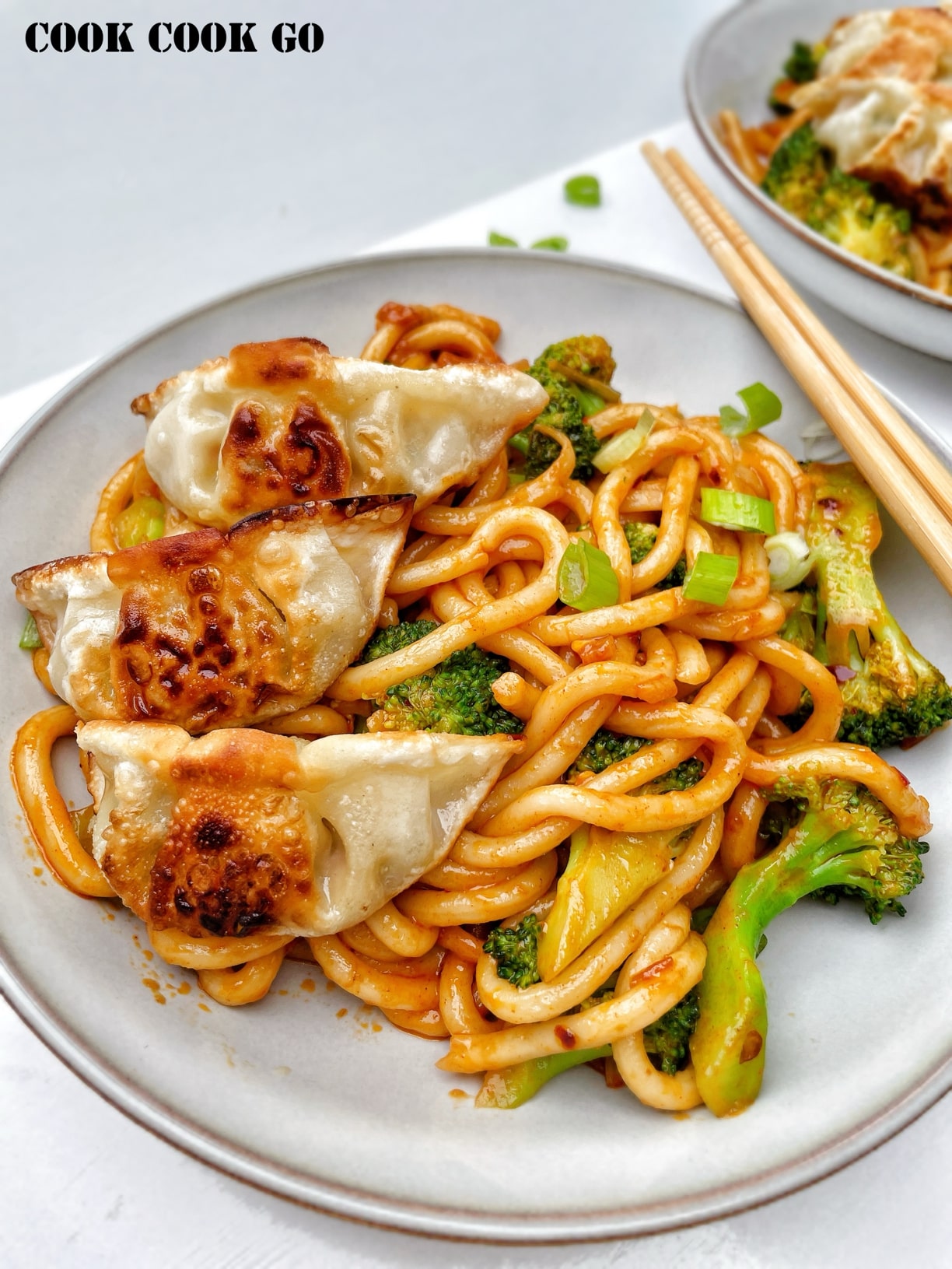 udon noodles with dumplings 