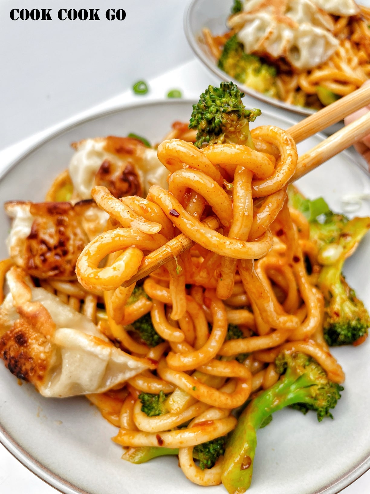 garlic udon noodles with dumplings